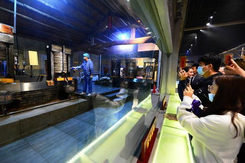 道不尽齐鲁粮油好 走进山歌，听百年油坊唱响的时代新韵